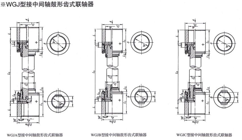 WGJ型接中間軸鼓形齒式聯軸器